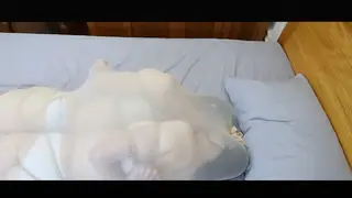 YT2091 双黄蛋