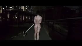 YT2665 汪星崛起