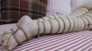 YT2721 完全封印了人类的活动