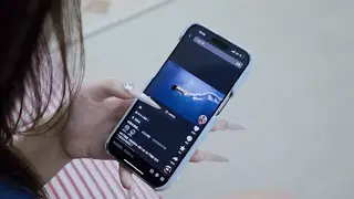 YT2767 人鱼的近亲