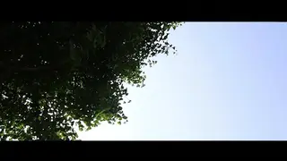 YT2810 刚买的飞机被打了